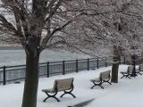 Benches on the St Lawrence