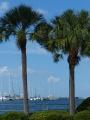 Tampa Bay Waterfront