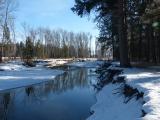 Looking Glass Riverbank in Winter