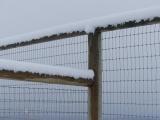 Fence Junction in the Snow