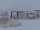 Winter Fence Corner
