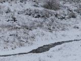 Winter Stream and Slope