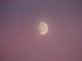 Moon in a Purple Sky