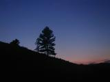 Boulder Twilight