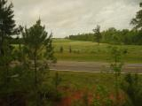 Red Soil, Texas Road