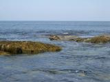 Rockport Coastline