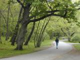 Longwood Pathway