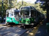 Green Line Pair