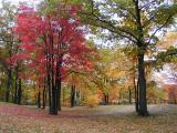 Michigan Autumn