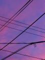Wires on a Lilac Sky