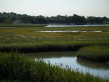 Belle Isle Marsh