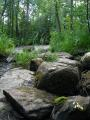 Boulders by the River