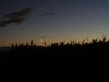 Moon over Grasses