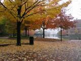 East Cambridge in Autumn