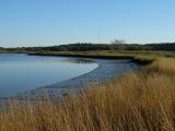 Neponset Riverbank