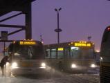 Buses in a Snowstorm