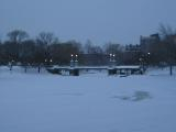 Frozen Public Garden