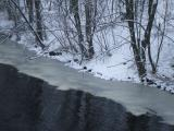 Watertown Shoreline