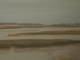 Nonesuch River in Sepia