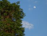 Moon over Longview