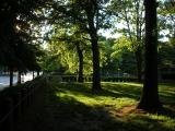 Slanting Shadows on the Lawn