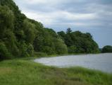 Fore River Shoreline