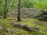 Landscape of Moss and Rocks