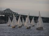 Flock of Boats