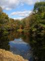 Autumnal River