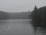 Misty Lake