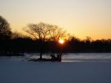 Winter Sunrise at Jamaica Pond