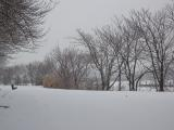 Fresh Snow on the Path