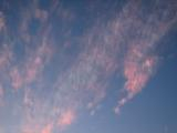 Pearly Pink Clouds