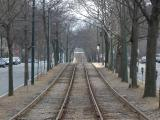 Tunnel of Trees