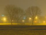 Night at Foss Park