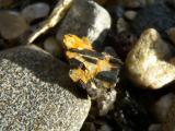 Tangerine and Black Crystals