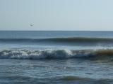 Atlantic Waves