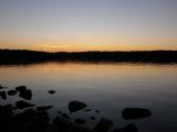 Spot Pond Shoreline