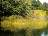 Early Autumn at Turtle Pond