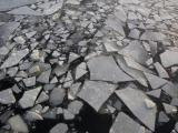 Ice Shards on the Charles River