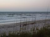 Ocean through Grasses