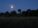 Moon over Florida