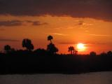 Orange Sky with Palms