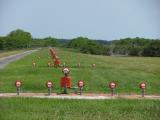 Field of Red Lamps