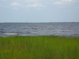 Grass, Water, Sky