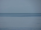 Mosquito Lagoon