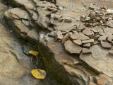 Autumn Rocks