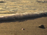 River Bubbles