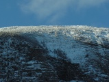 White Crest