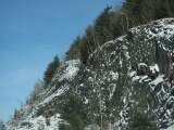 Trees over Bedrock
